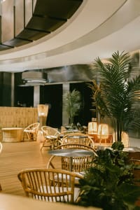 A modern restaurant interior with wood furniture, potted plants, and warm lighting
