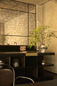 A clean and organized bathroom with two sinks, potted plants, vases, and toiletries, featuring a focus on functionality and aesthetics
