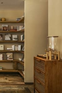 A wooden bookshelf filled with various books in different sizes and colors, creating a cozy and intellectual environment