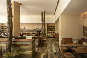 Warm and inviting living area with wooden floors and walls, featuring a kitchen, dining room, and sitting area with chairs and books