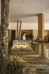 Warm and inviting restaurant interior with wooden floors and walls, featuring chairs and dining tables for socializing and dining