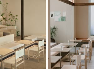 Empty restaurant interior with dining tables, chairs, and potted plants, showcasing a clean and welcoming atmosphere
