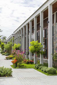 A modern building with multiple windows and a facade featuring potted plants along the sidewalk, creating a pleasant atmosphere