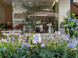 A warm and inviting coffee shop with potted plants, cups, and bowls, creating a pleasant atmosphere for customers