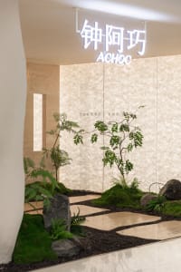 A serene indoor space with a large white wall featuring potted plants of varying heights, creating a lush atmosphere with two vases placed on either side of the wall