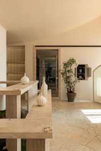 Cozy living space with a kitchen counter featuring two white vases and three potted plants, surrounded by inviting decorative elements