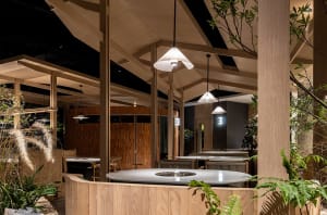Warm and inviting restaurant space with wooden floors and walls, featuring tables, chairs, and potted plants