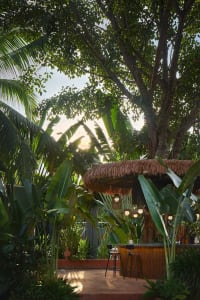A serene outdoor patio area with a thatched roof, surrounded by lush greenery and potted plants, perfect for relaxation and nature appreciation