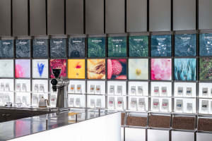 A cozy coffee shop interior with glass cases displaying various coffee beans and multiple cups, creating an inviting atmosphere