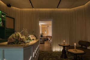 Warm and inviting restaurant interior with a large dining table, potted plants, white walls, and wooden floors