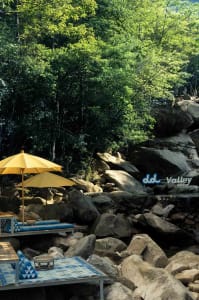 A serene outdoor patio with three chairs under umbrellas, surrounded by a forest, creating a peaceful atmosphere