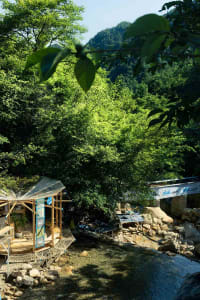 A wooden building surrounded by trees and water, with potted plants and a peaceful atmosphere