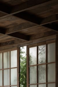Warm and inviting room with wooden walls, ceiling beams, and a bamboo plant growing through a window