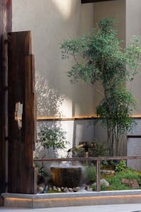 A modern indoor space with a mix of potted plants and a vase, blending nature and design elements