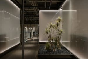 A calm and inviting home office space with two potted plants, a large window, and natural light