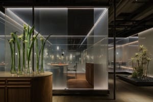 A modern office space with a glass wall separating two rooms, a dining table, kitchen area, and potted plants adding a touch of greenery