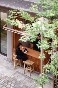 Woman sitting at a wooden dining table in front of a window, using a laptop in a cozy home office with natural light