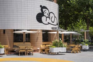 An outdoor dining area with tables, chairs, umbrellas, and potted plants, creating a comfortable atmosphere for meals