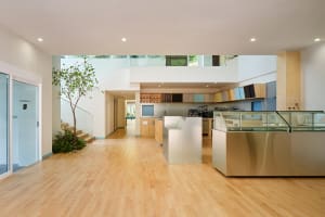 Open modern kitchen and dining area with stainless steel appliances, natural light, and a clean contemporary design