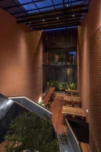 Warm and inviting restaurant interior with wooden tables and chairs, plants on walls and surfaces, and a comfortable atmosphere