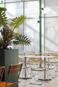 A bright and inviting dining area with multiple tables and chairs, potted plants, and natural light
