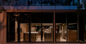 Industrial kitchen with stainless steel appliances, potted plants, and a clean, well-lit atmosphere