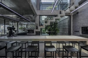 Bright and inviting open concept kitchen and dining area with a large island, potted plants, and ample seating