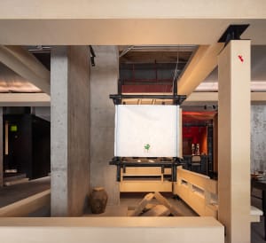 Warm and inviting room with wooden walls and floors, featuring two large vases and natural elements