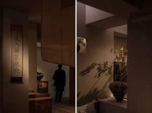 Warm and cozy interior space with wooden floors and walls, decorated with potted plants and vases, and a person walking in the hallway