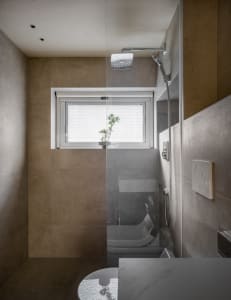 Bathroom with a shower stall, potted plant, and modern minimalist design
