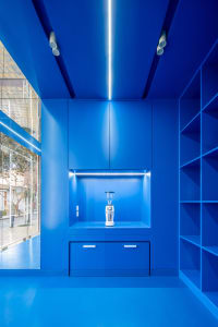 Modern kitchen with a blue theme featuring a large countertop, blue cabinets, and a deep blue wall color, with a sink and blender in a stylish and contemporary space