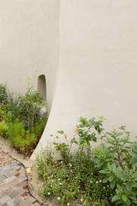 A modern building with a curved concrete wall surrounded by plants, blending architecture and nature