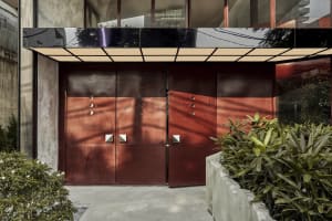 A modern entrance with two red doors that lead into a residential hallway, surrounded by potted plants