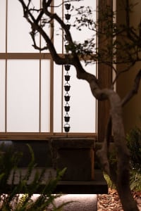 Indoor space with a stone wall, two potted plants, and a vase, creating a calm and serene atmosphere