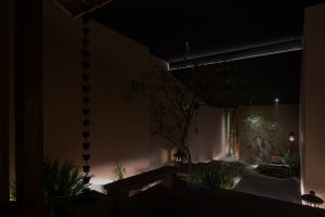 Cozy indoor space with a stone wall, a tree, and potted plants, dimly lit for a warm ambiance