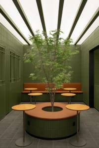 A cozy restaurant space with a large tree in a pot surrounded by dining tables and benches, with a warm and inviting atmosphere