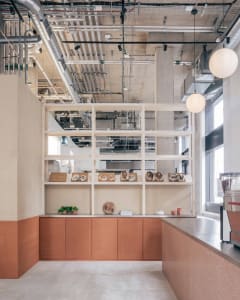 Bright and inviting open kitchen area with a countertop featuring bowls, cups, and potted plants, emphasizing functionality and organization