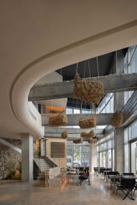Open modern living area with a large window, chairs, a dining table, and potted plants, featuring a contemporary feel and focus on functionality and comfort