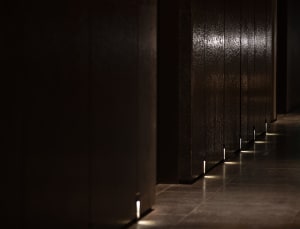 A dimly lit hallway with wooden doors and several doors leading to other rooms, giving a sense of mystery
