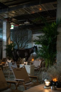 A relaxed indoor area with multiple chairs and potted plants, creating a welcoming atmosphere
