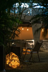 Cozy dining space with multiple chairs and a table, surrounded by potted plants and artificial lighting