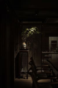 Dining area with a wooden table and chairs, a potted plant, and a warm atmosphere