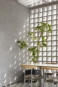 A warm and inviting dining area with a wooden table and chairs, surrounded by a potted plant and natural light