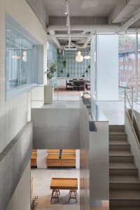 Open living area with natural light, seating options, potted plants, and decorative elements