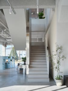 A clean and well-maintained staircase in a modern office building with concrete stairs and a white railing, flanked by two potted plants