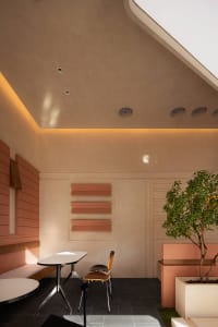 A cozy dining room with a wooden dining table and chairs, a potted plant, and a warm atmosphere