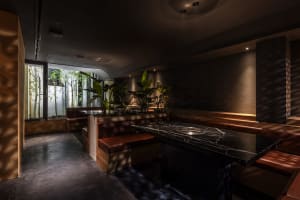 Warm and inviting restaurant interior with wooden benches, potted plants, and ample seating for guests