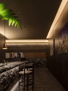 A dimly lit bar area with a stone countertop, two stools, and two chairs, surrounded by potted plants