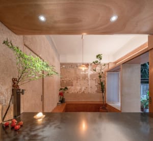 Cozy kitchen with wooden floors and walls, featuring a sink, potted plants, vases, and apples