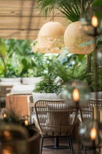 A relaxed outdoor seating area with wicker chairs, wooden tables, and potted plants, surrounded by a pleasant atmosphere